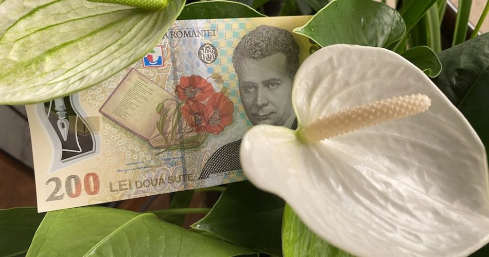 credit venituri dividende