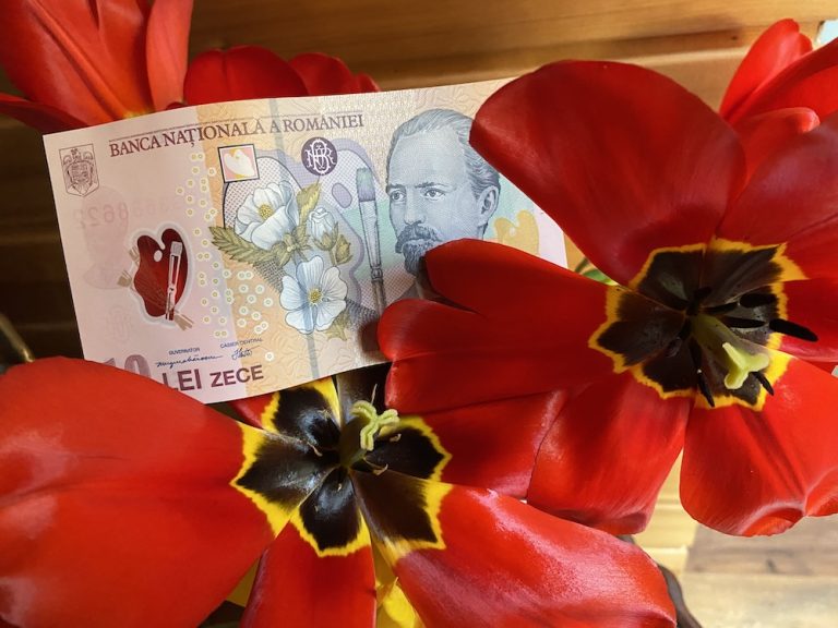 Cum fac o intelegere amiabila pentru plata restantelor la IFN-uri?