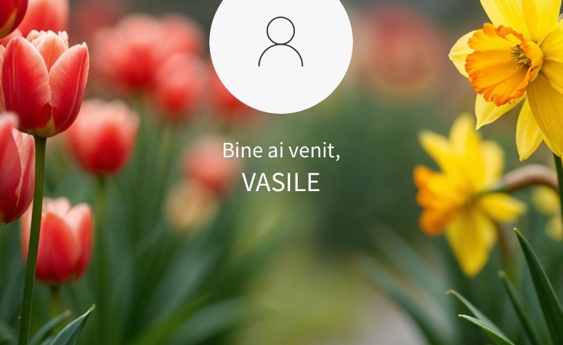 pin aplicatie brd you