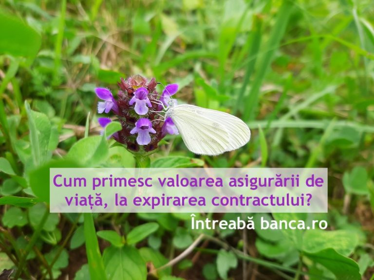 Cum primesc valoarea asigurării de viață, la expirarea contractului?