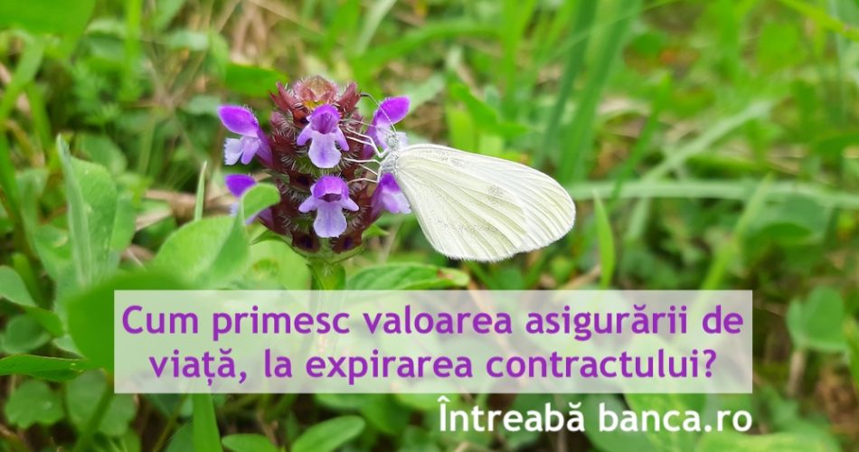 asigurare viata metropolitan