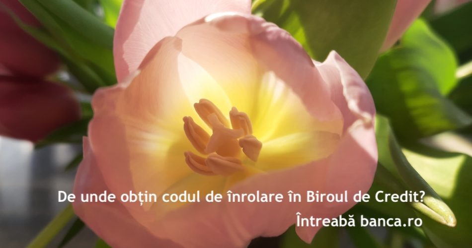 cod inrolare biroul de credit