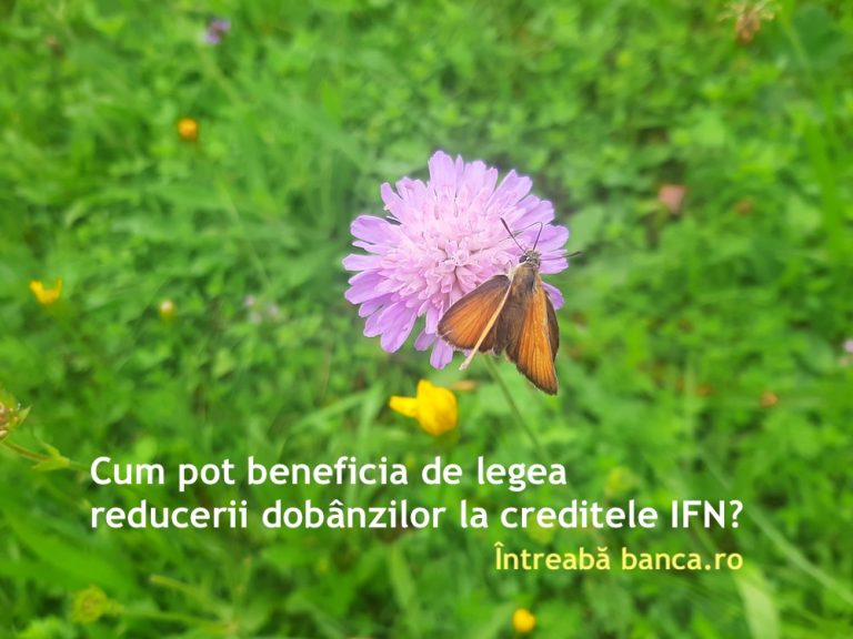 Cum pot beneficia de legea reducerii dobânzilor la IFN?