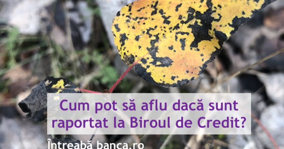 biroul de credit raportat