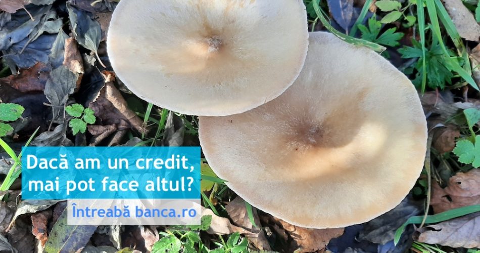 credit intreaba banca