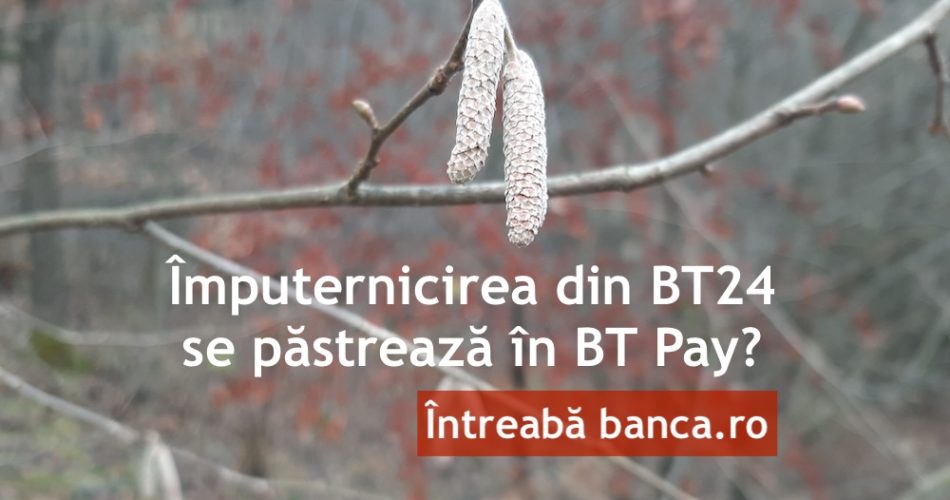imputernicire bt pay