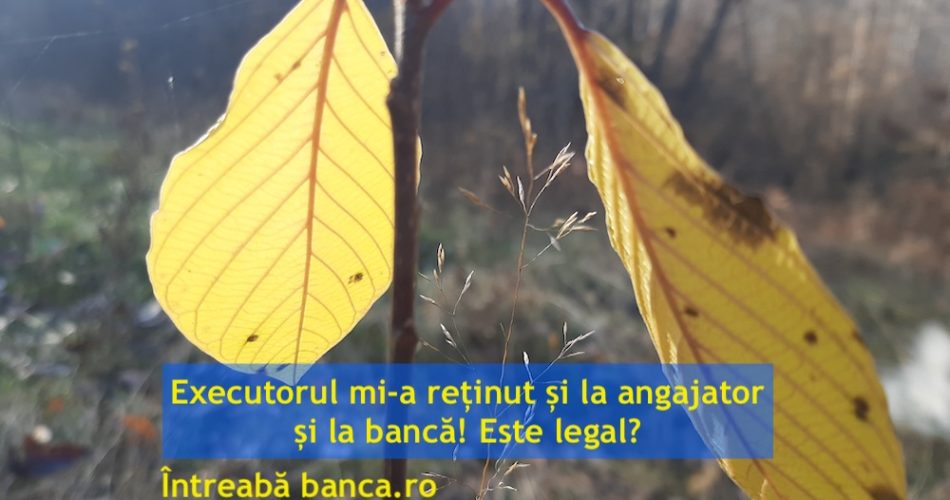 poprire angajator banca