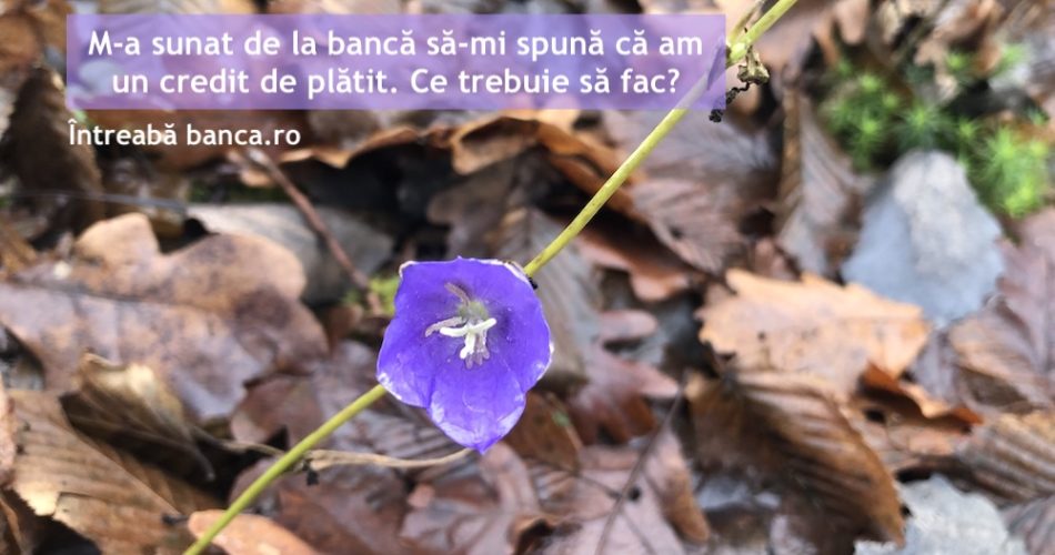 telefon banca credit