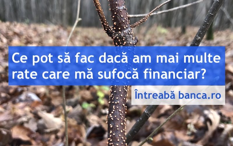 refinantare credite grad indatorare