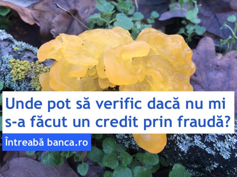 Unde pot să verific dacă nu mi s-a făcut un credit prin fraudă?