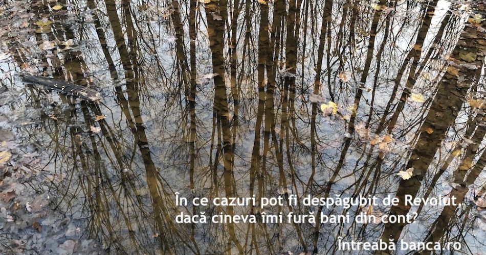 despagubire revolut