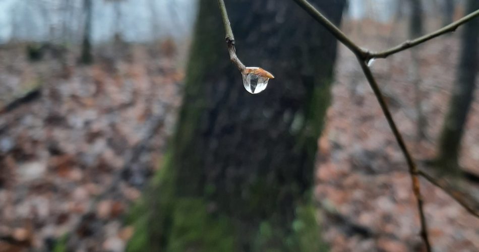 ifn banca refinantare