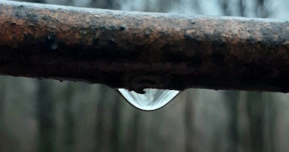 rate provident credit