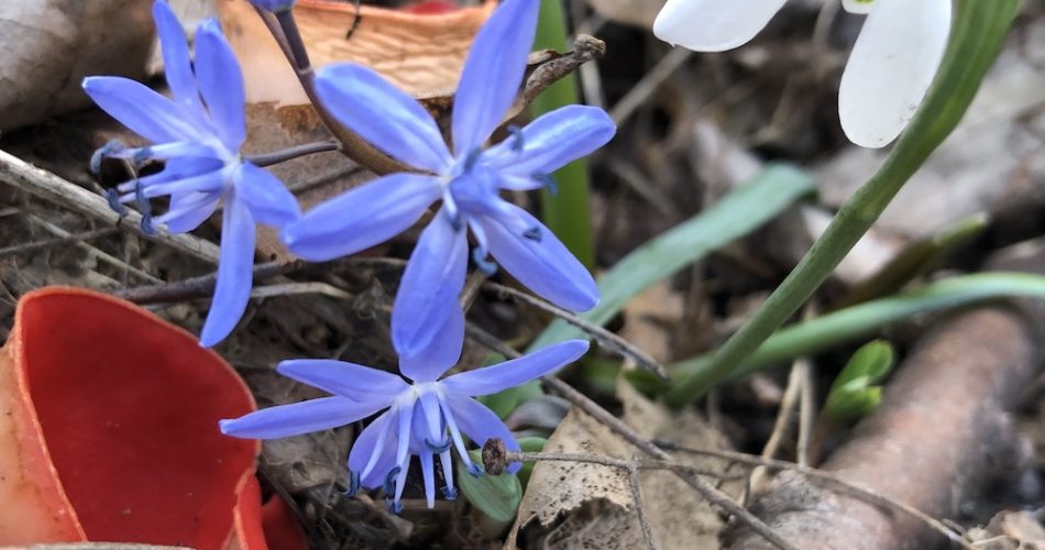 consultant financiar investitii