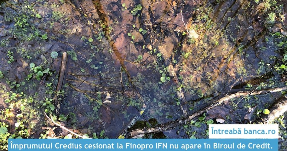 credit cesionat finopro biroul de credit