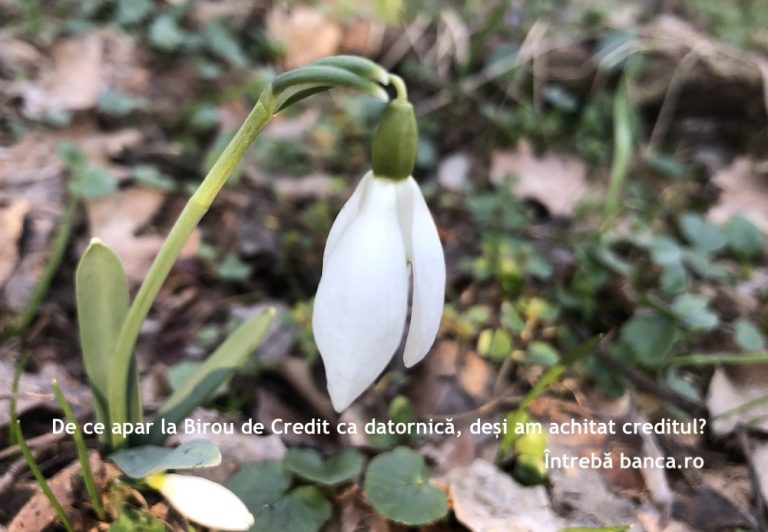 De ce apar la Biroul de Credit ca datornică, deși am achitat împrumutul?