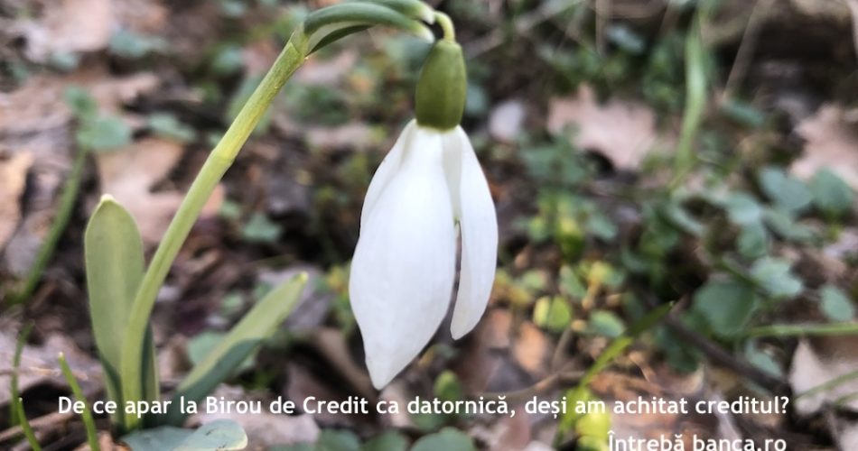 provident biroul de credit