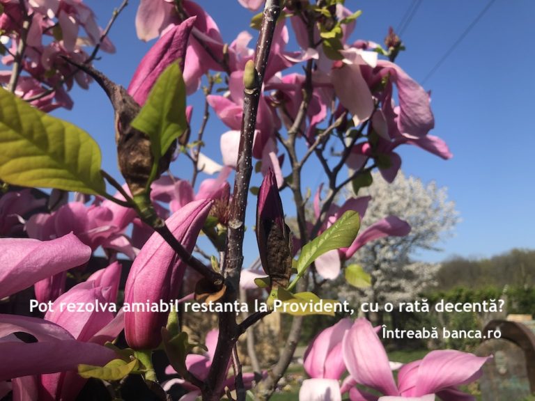 Pot rezolva amiabil restanța la Provident, cu o rată decentă?