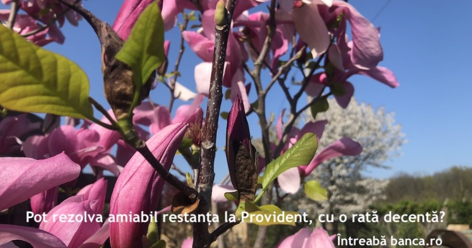 restanta provident rata