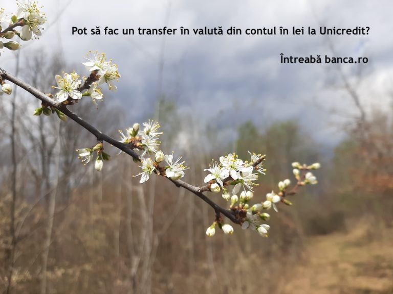 Pot să fac un transfer în valută din contul în lei la Unicredit?