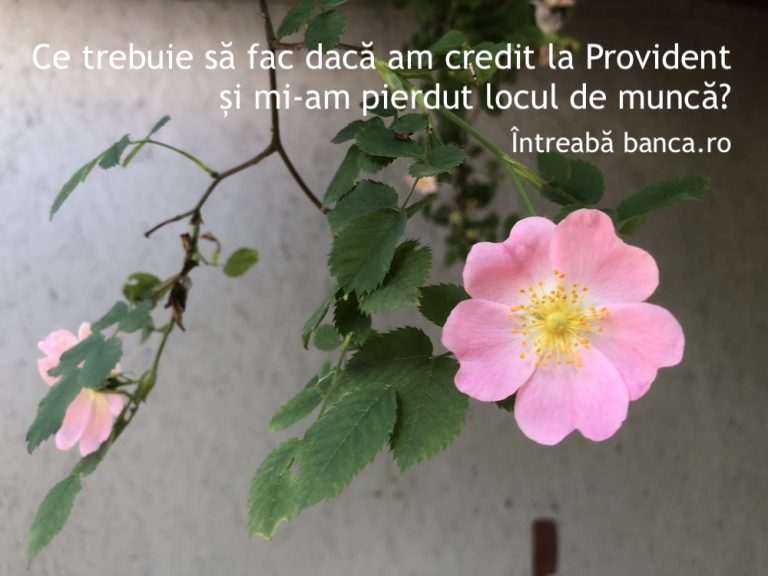 Ce trebuie să fac dacă am credit la Provident și am pierdut locul de muncă?