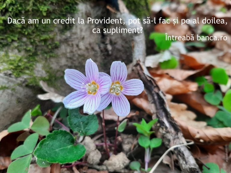 Dacă am un credit la Provident, pot să-l fac și pe al doilea, ca supliment?