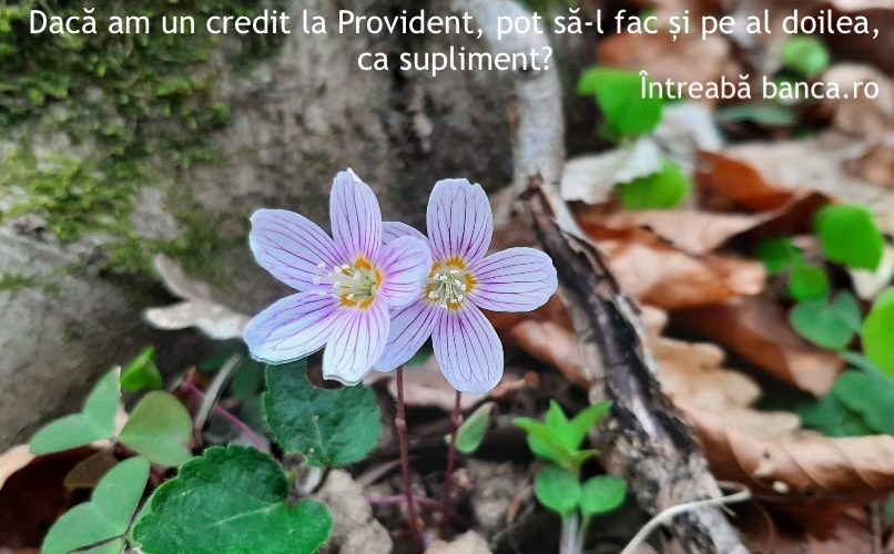 credit provident refinantare