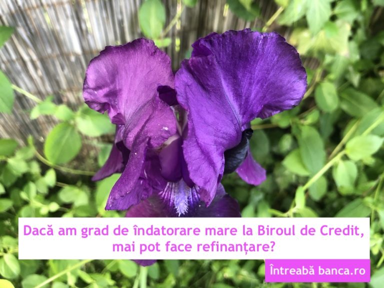 Dacă am grad de îndatorare mare la Biroul de Credit, mai pot face refinanțare?