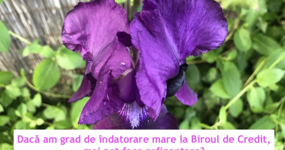 grad indatorare biroul de credit