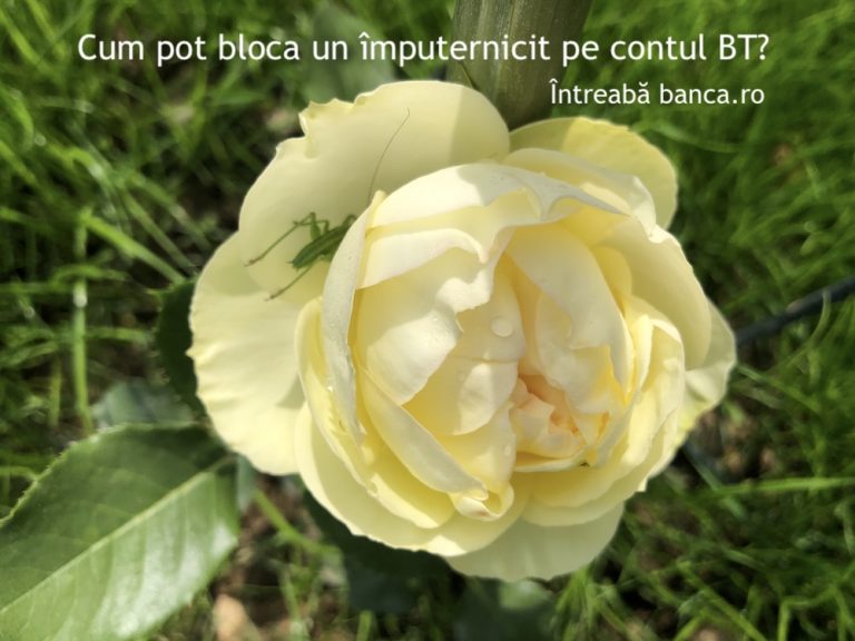 Cum pot bloca un împuternicit pe contul BT?
