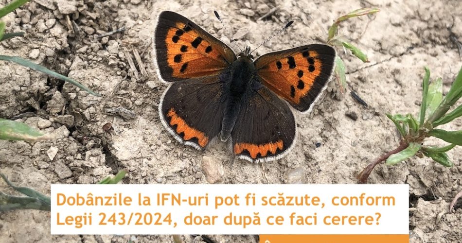 legea 243 din 2024 dobanzi ifn