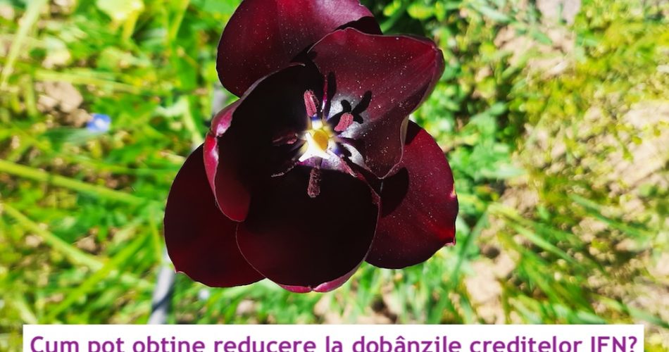reducere dobanzi credite ifn