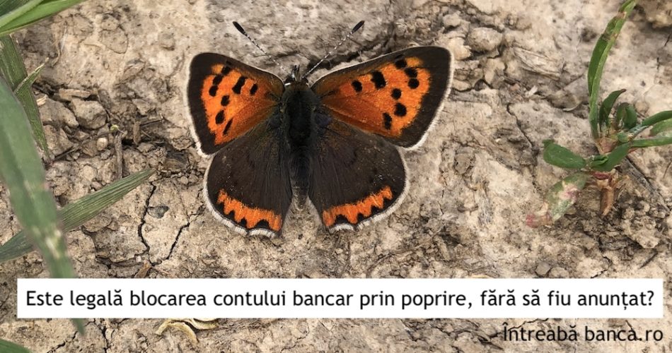 blocare cont anunt