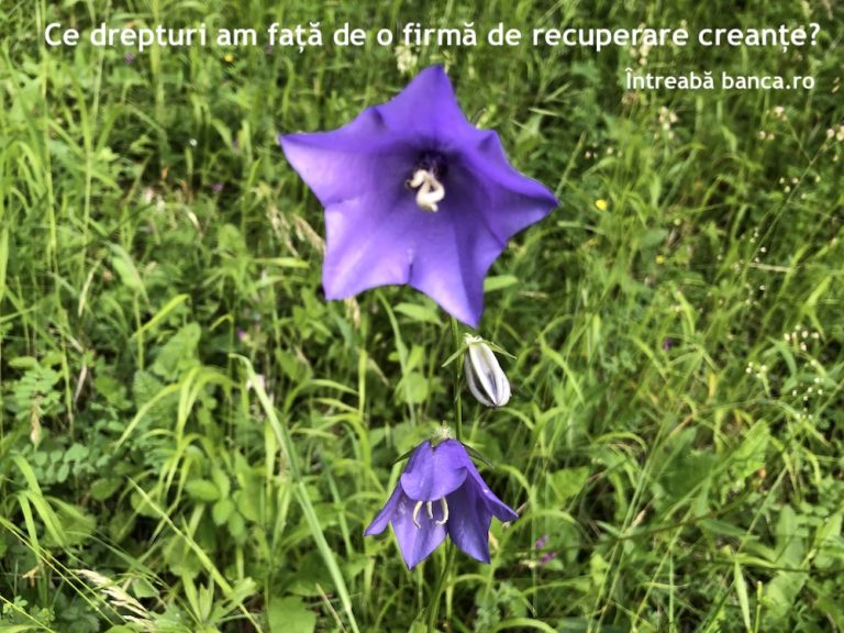 Ce drepturi am față de o firmă de recuperare creanțe?