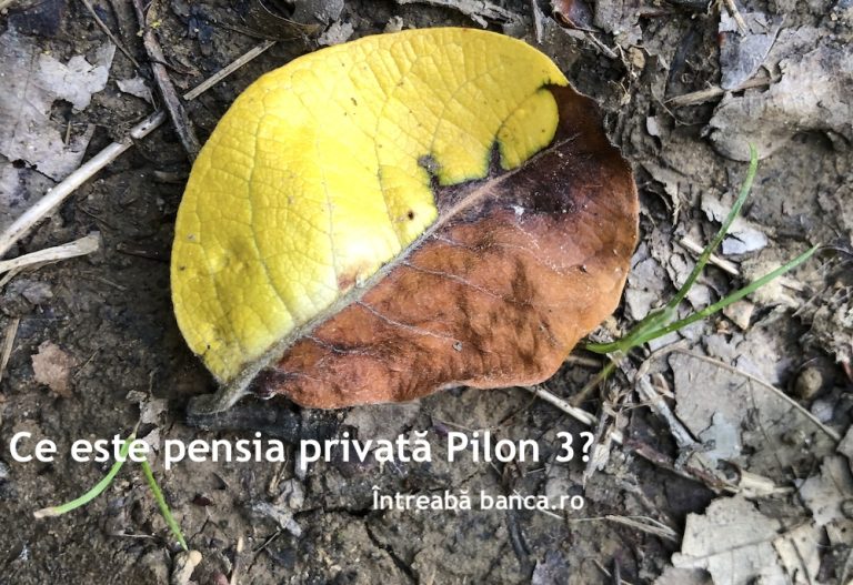Ce este pensia privată Pilon 3?