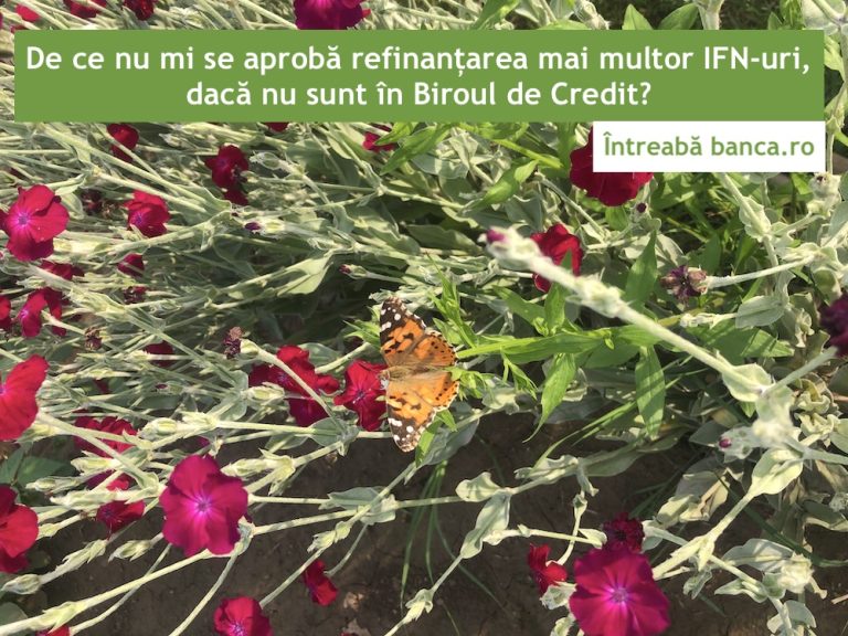 De ce nu mi se aprobă refinanțarea mai multor IFN-uri, deși nu sunt în Biroul de Credit?