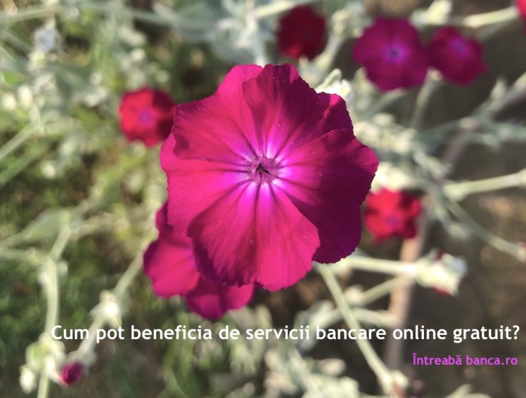 Cum pot beneficia de servicii bancare online gratuit?