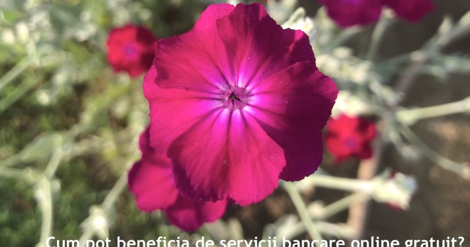 servicii bancare online gratuit