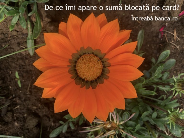 De ce îmi apare o sumă blocată pe card?