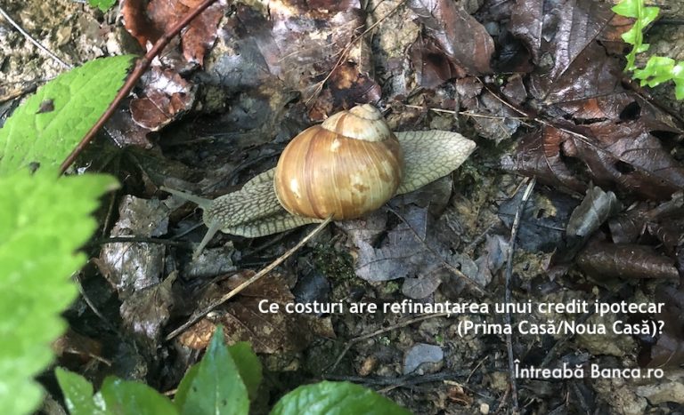 Ce costuri are refinanțarea unui credit ipotecar (Prima Casă/Noua Casă)?