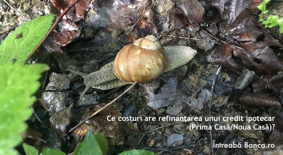 costuri refinantare credit ipotecar