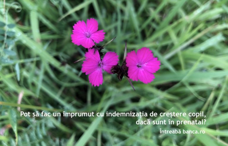 Pot să fac un împrumut cu indemnizația de creștere copil, dacă sunt în prenatal?