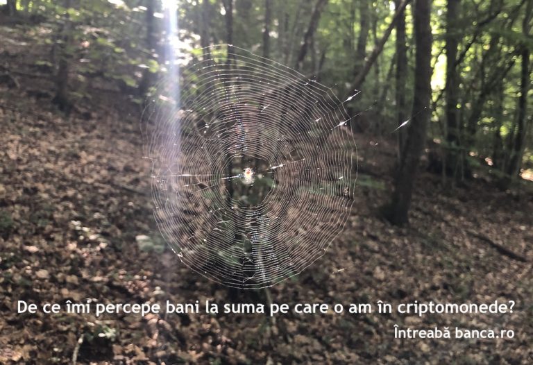 De ce îmi percepe bani la suma pe care o am în criptomonede?