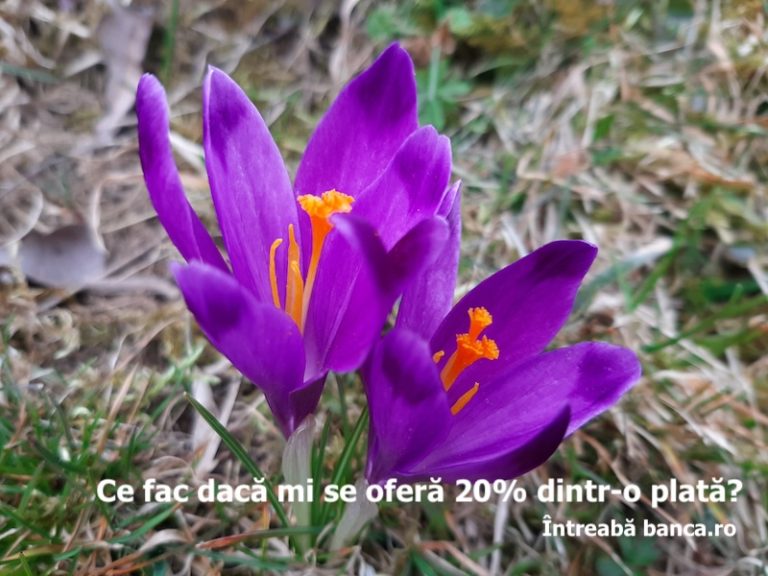 Ce fac dacă mi se oferă 20% dintr-o plată?