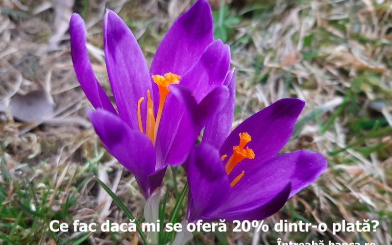 caraus bani teapa