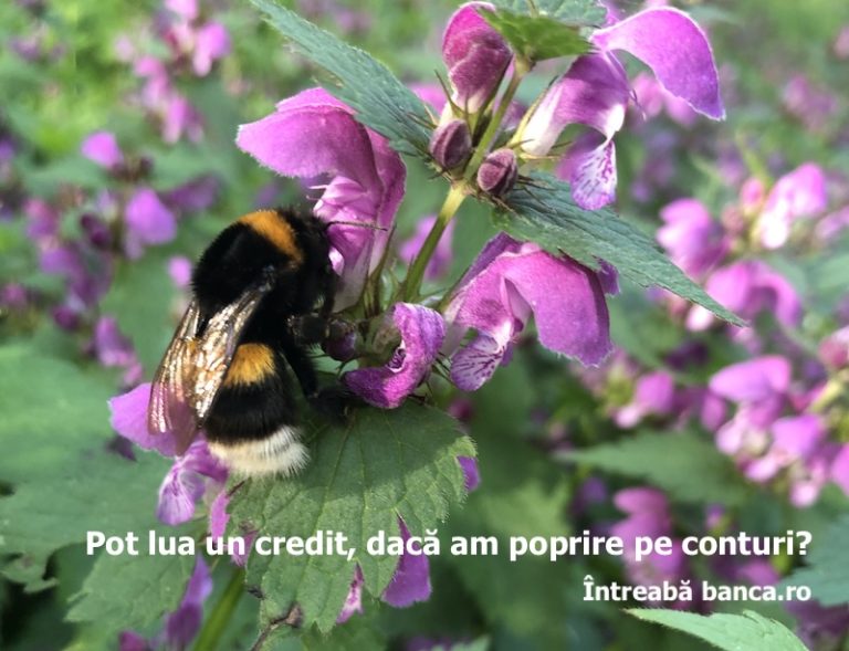 Pot lua un credit, dacă am poprire pe conturi?