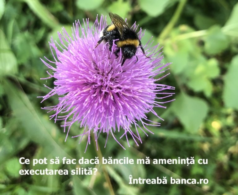 Ce pot să fac dacă băncile mă amenință cu executarea silită?