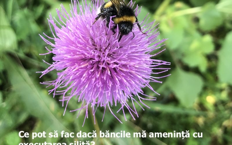 executare silita datorii banci