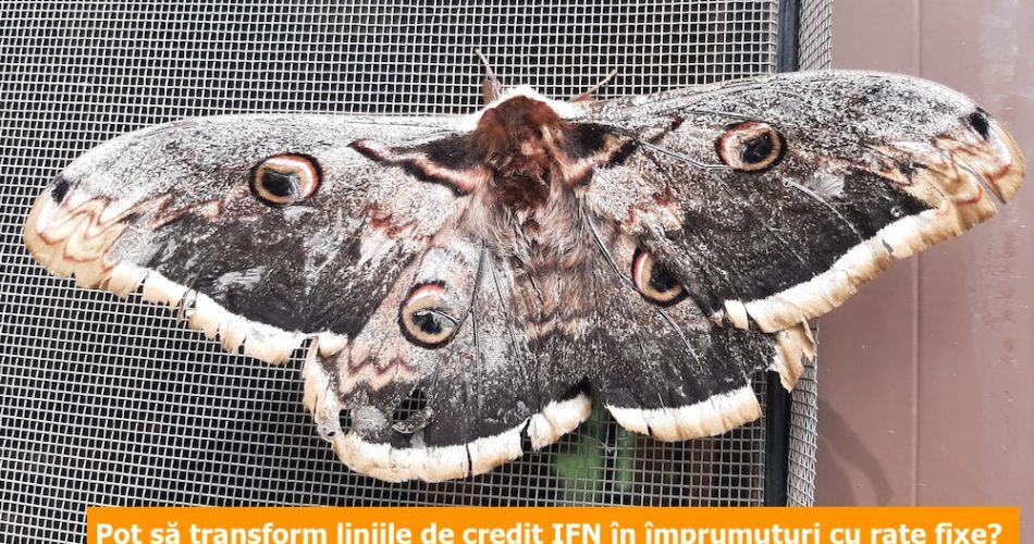 linie de credit ifn