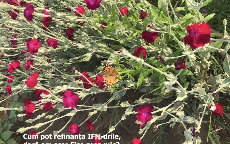 refinantare ifn scor fico